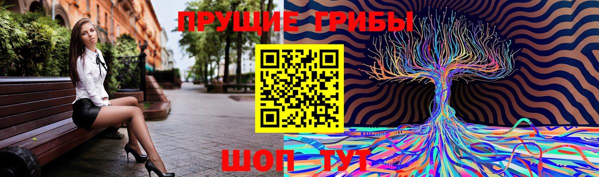 Псилоцибиновые грибы MAGIC MUSHROOMS  Псилоцибиновые грибы прущие грибы  Вход с VPN  Барнаул 